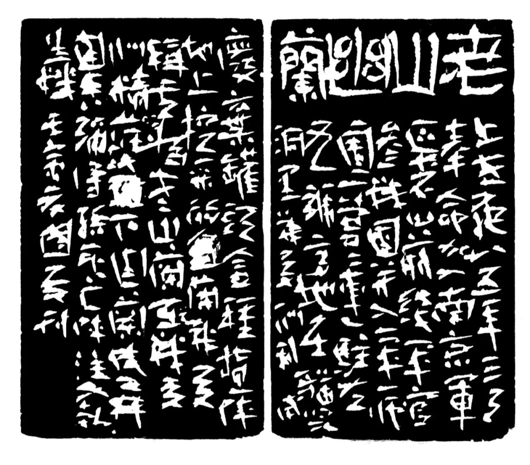 老山幽兰印蜕