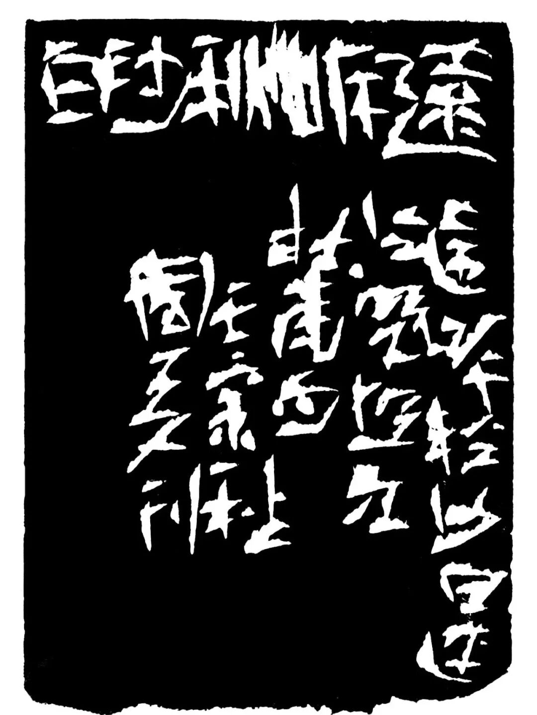 远岸秋沙白印蜕